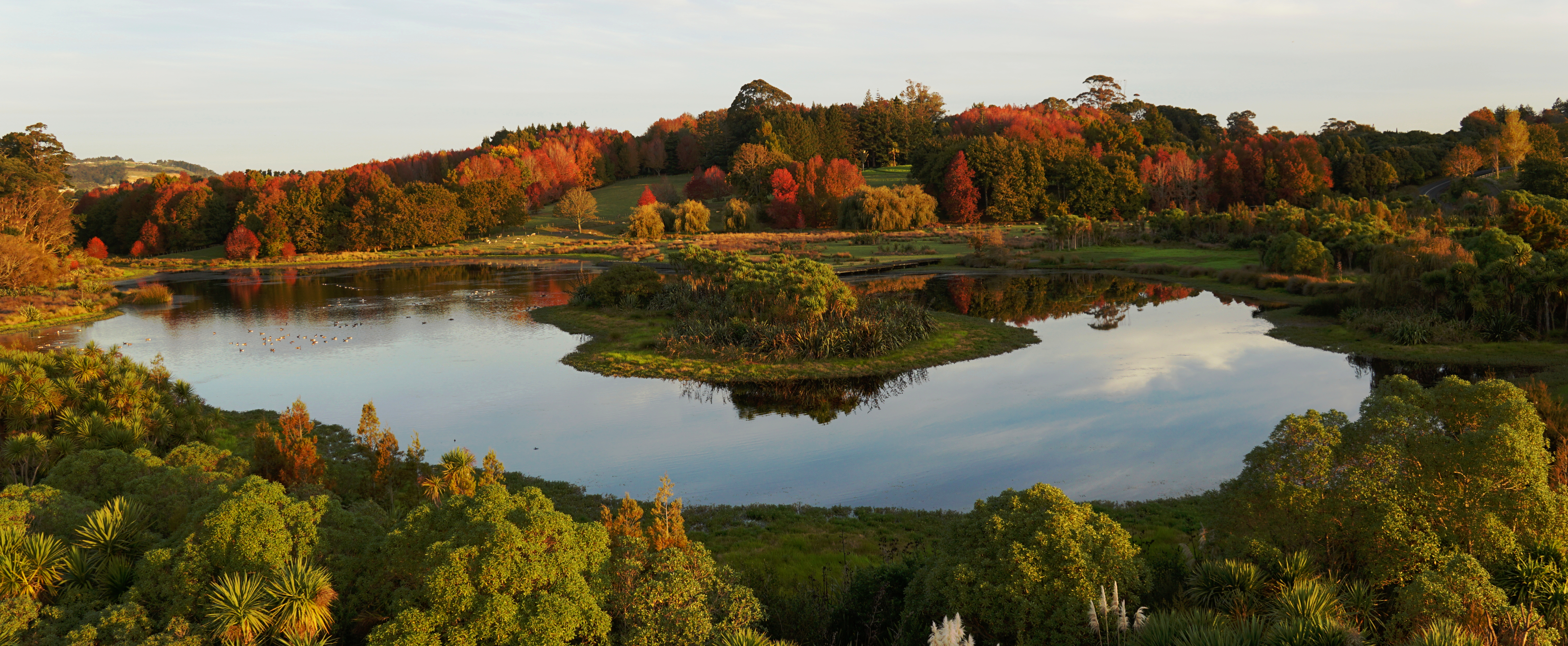 Autumn Colours at Ayrlies Garden and Wetlands