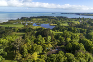 Biodiversity in the wetlands